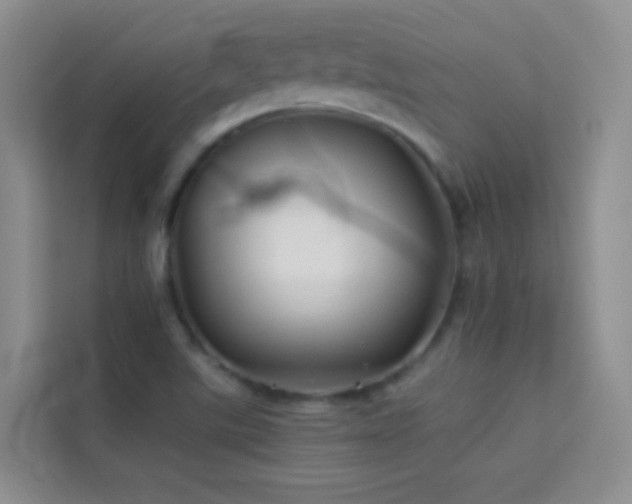 X0000114191507200910091221