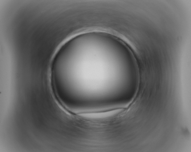 X0000114191508200910091221