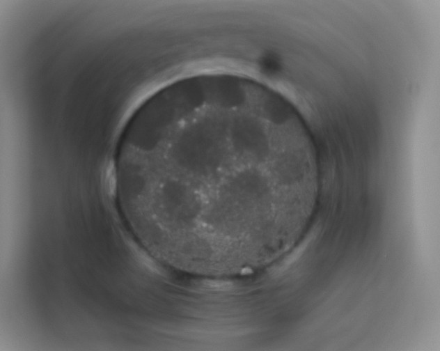 X0000114191509200910091221