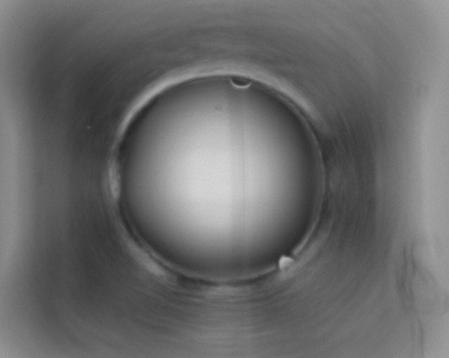 X0000114191510200910091221
