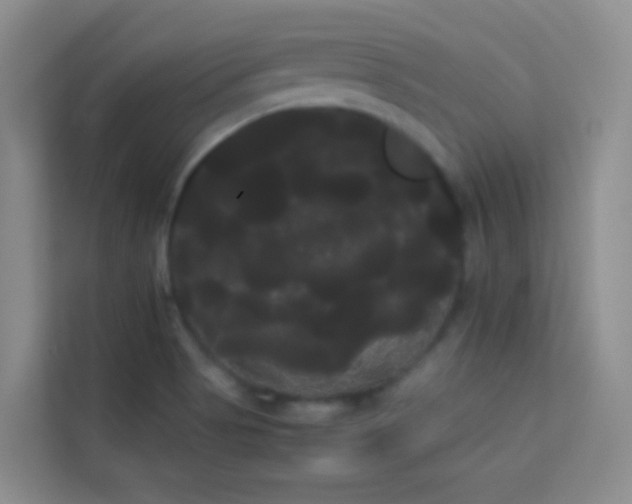 X0000114191513200910091221