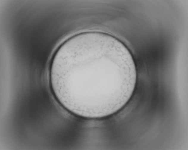 X0000114191514200910091221