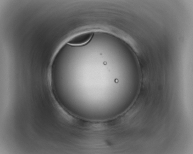 X0000114191516200910091221