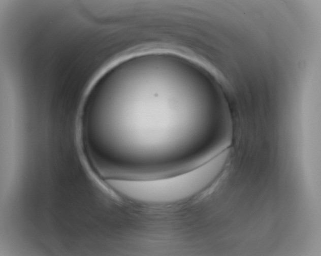 X0000114191518200910091222