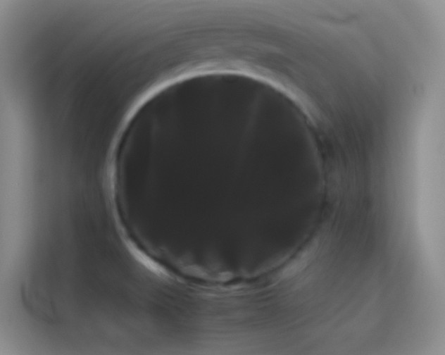 X0000114191519200910091222