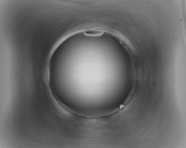 X0000114191520200910091222