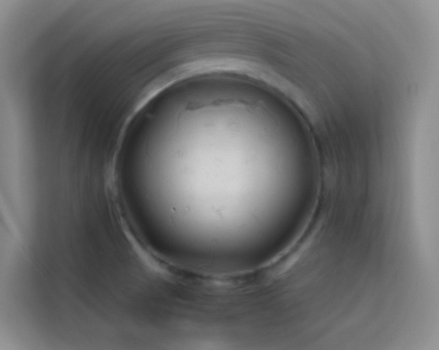 X0000114191521200910091222