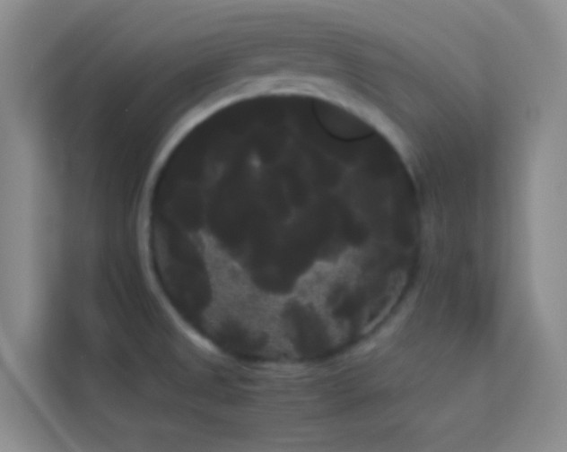 X0000114191525200910091222