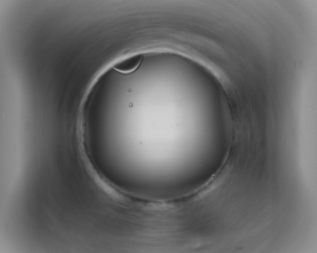 X0000114191526200910091222