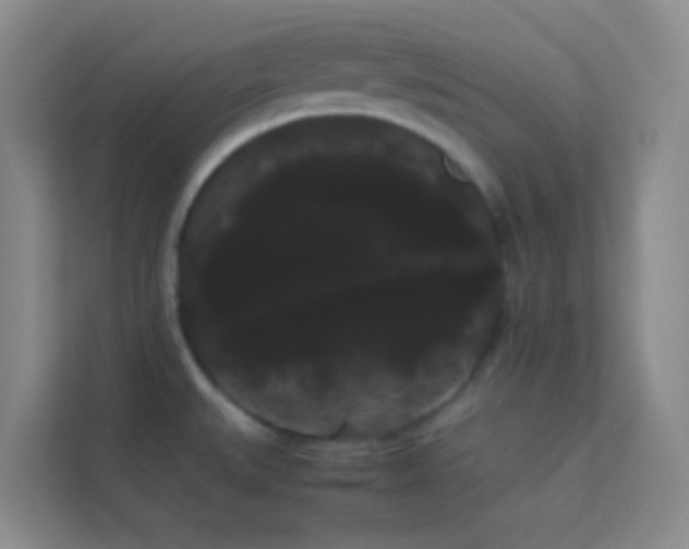 X0000114191527200910091222