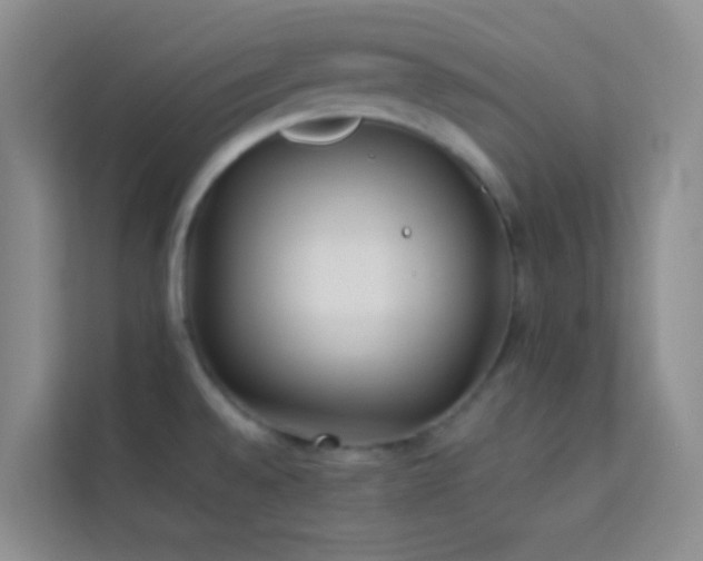 X0000114191528200910091222