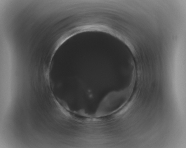 X0000114191529200910091222