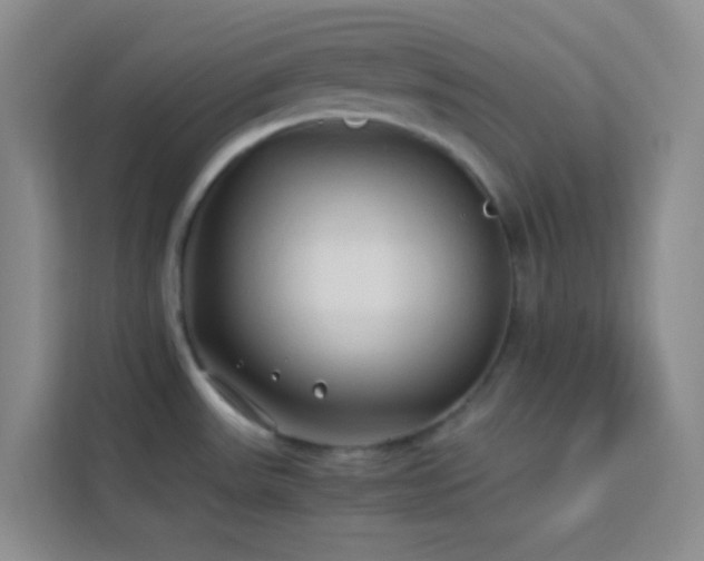 X0000114191531200910091222