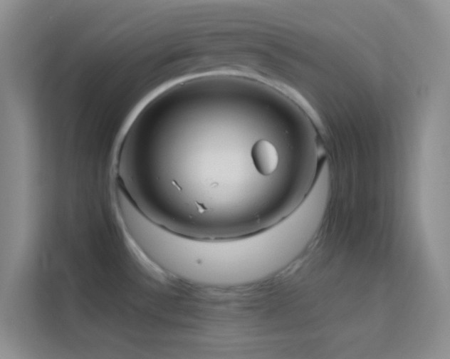 X0000114191532200910091222
