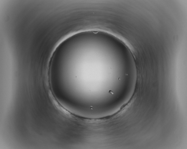 X0000114191534200910091222