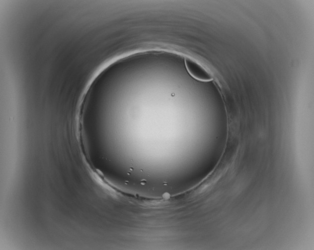 X0000114191535200910091222