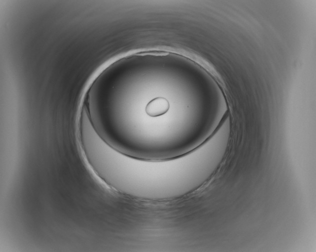 X0000114191536200910091222