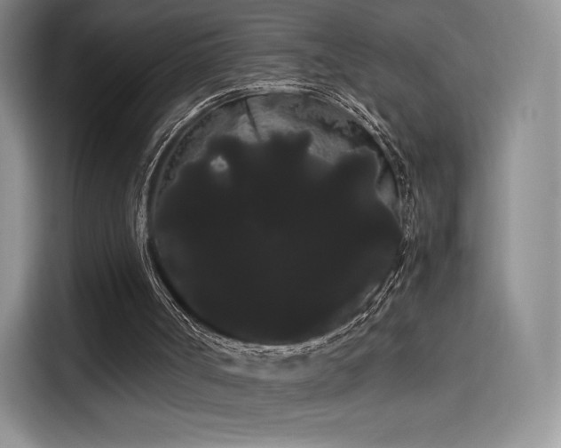 X0000114190002200910161214