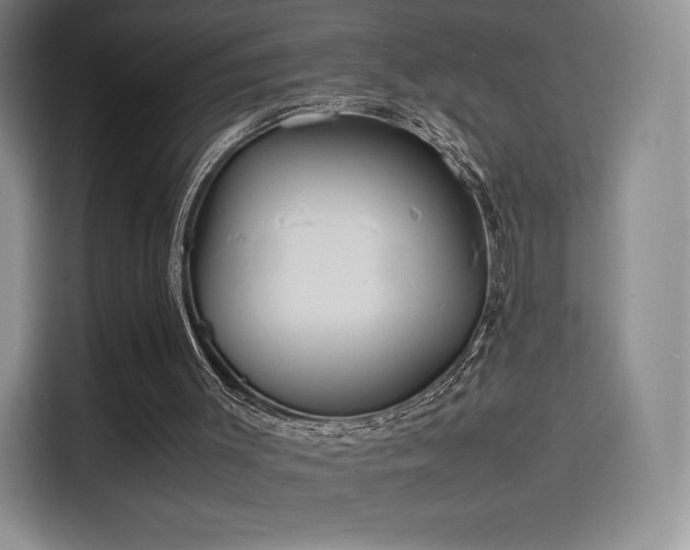 X0000114190003200910161214