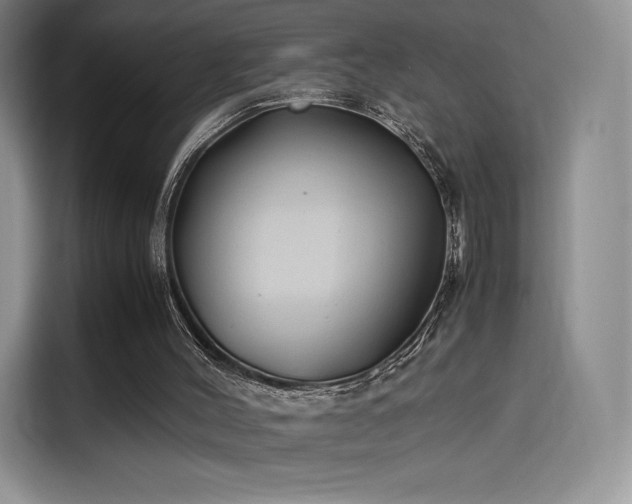 X0000114190004200910161214