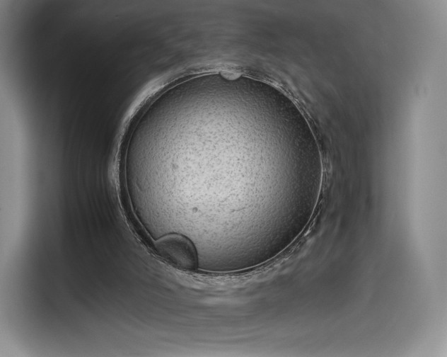 X0000114190006200910161214