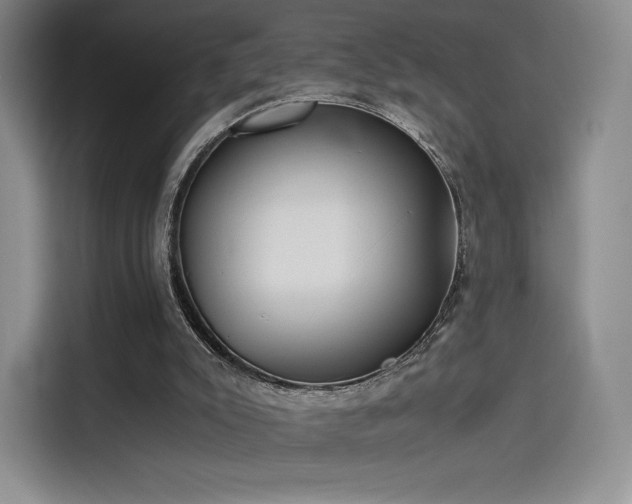 X0000114190007200910161214