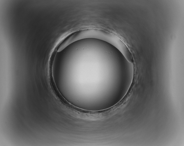 X0000114190008200910161214