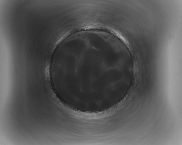 X0000114190010200910161214