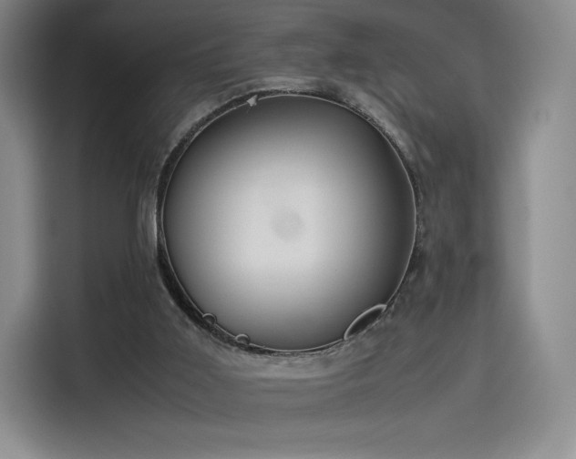X0000114190011200910161214