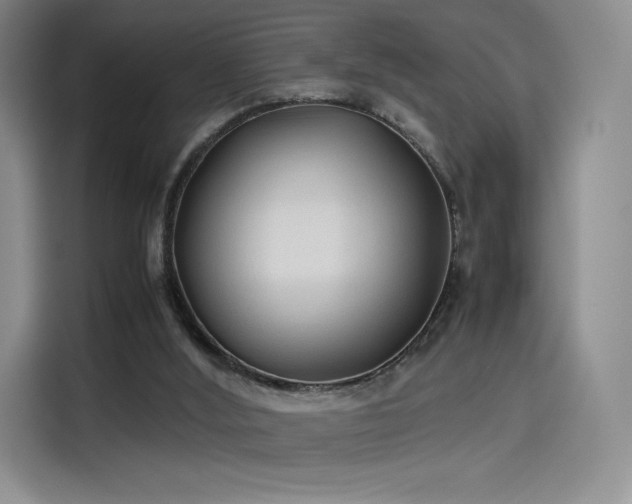 X0000114190012200910161214