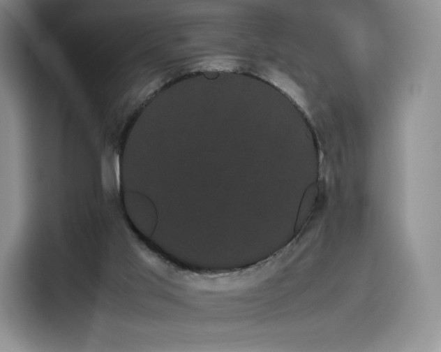 X0000114190013200910161214