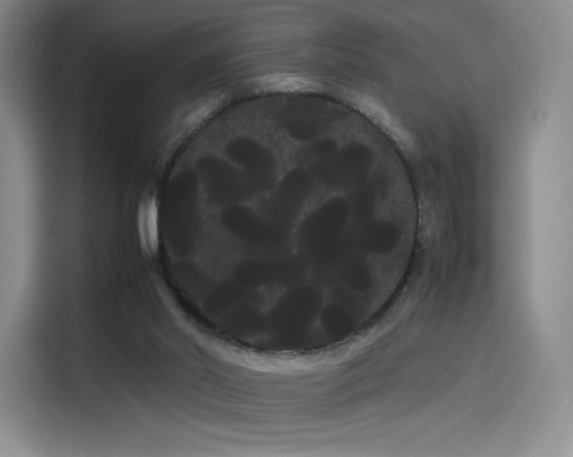 X0000114190014200910161214