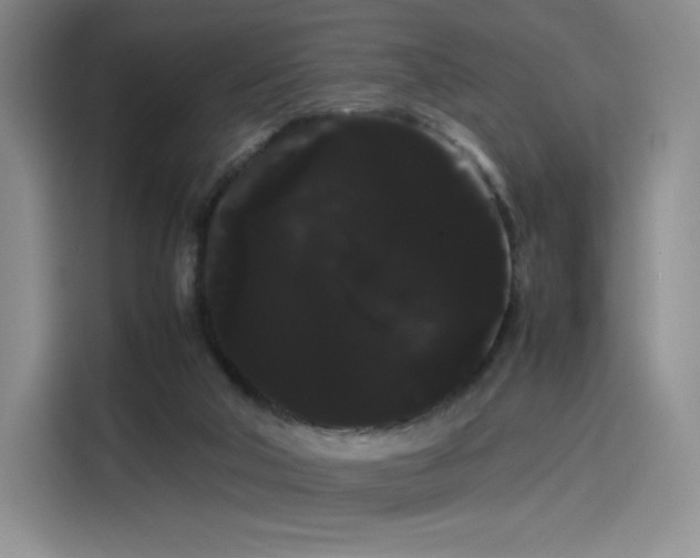 X0000114190018200910161214