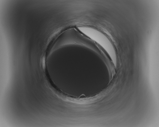 X0000114190019200910161214