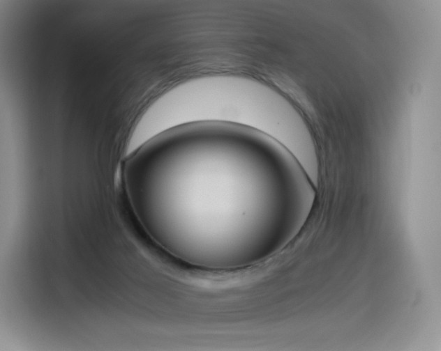 X0000114190021200910161214