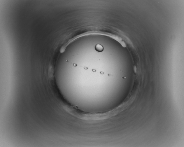 X0000114190025200910161214