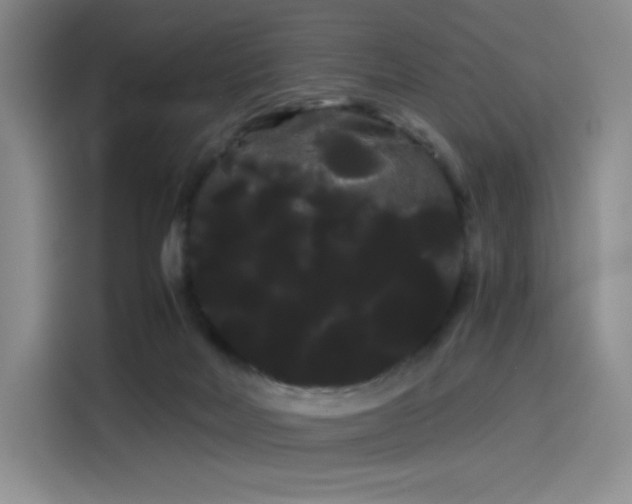 X0000114190026200910161214