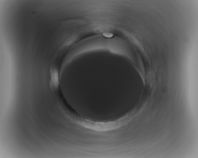 X0000114190027200910161214