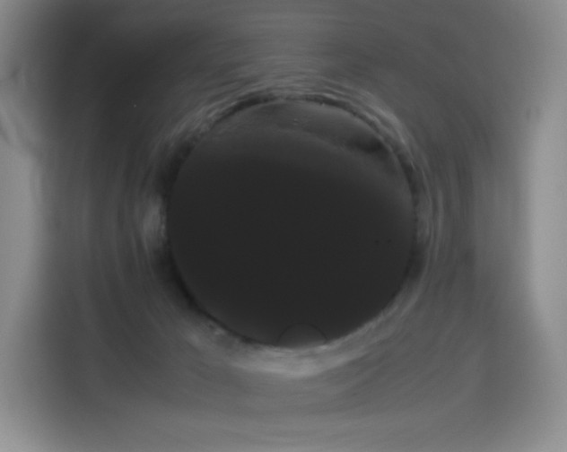 X0000114190029200910161214
