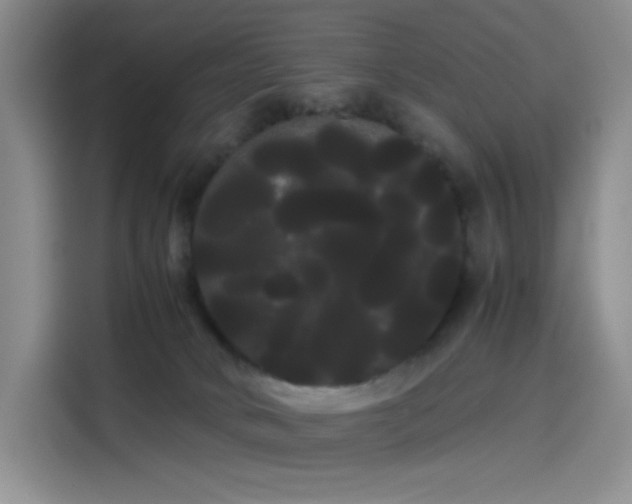 X0000114190034200910161213