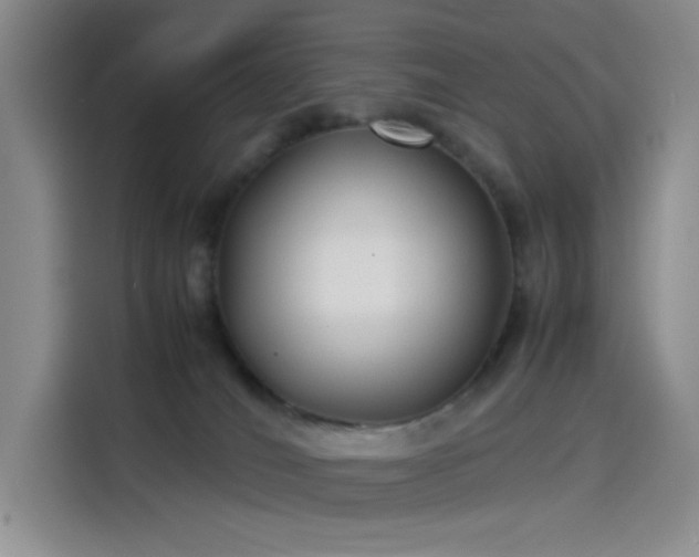 X0000114190036200910161213