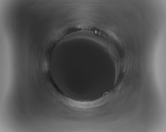 X0000114190039200910161213