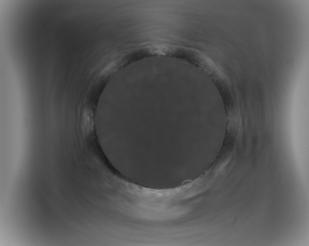 X0000114190043200910161213