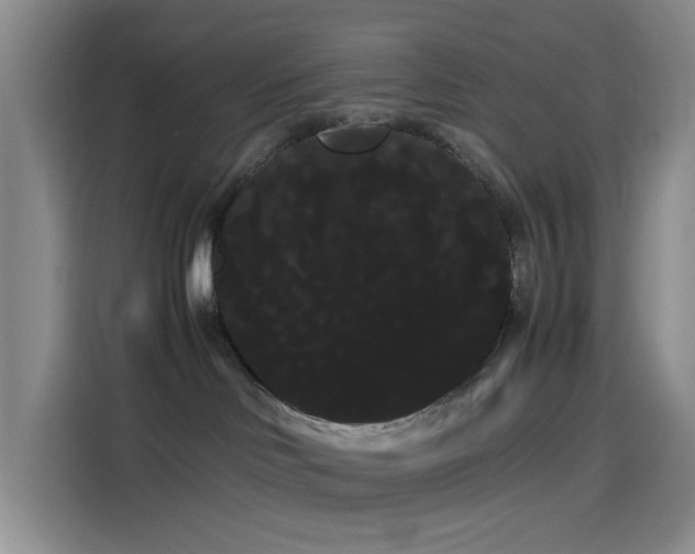 X0000114190046200910161213