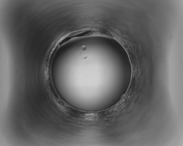 X0000114190050200910161213
