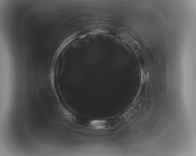 X0000114190051200910161213