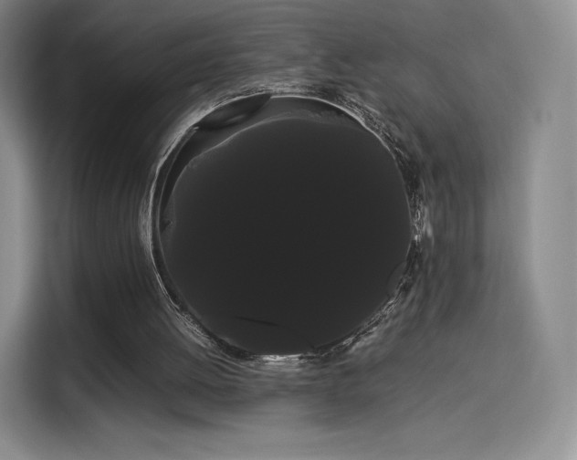 X0000114190052200910161213