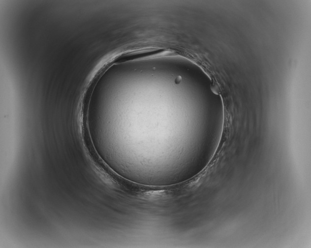 X0000114190054200910161213
