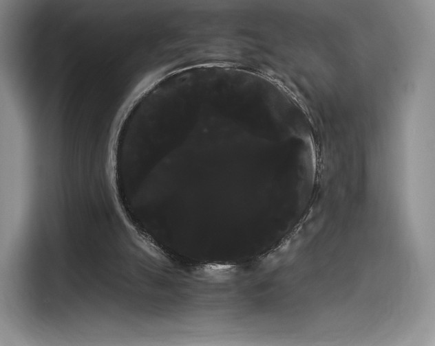 X0000114190055200910161213