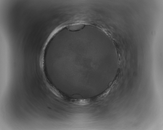 X0000114190056200910161213